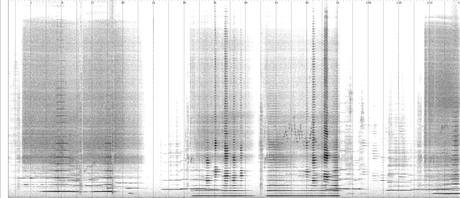 An unprocessed spectrogram of bars 1–9 - clarinet.