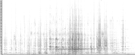 An unprocessed spectrogram of the complete performance in the concert hall