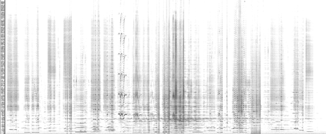 An unprocessed spectrogram of the complete performance - clarinet.