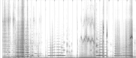 An unprocessed spectrogram of bars 1–9 - flute.